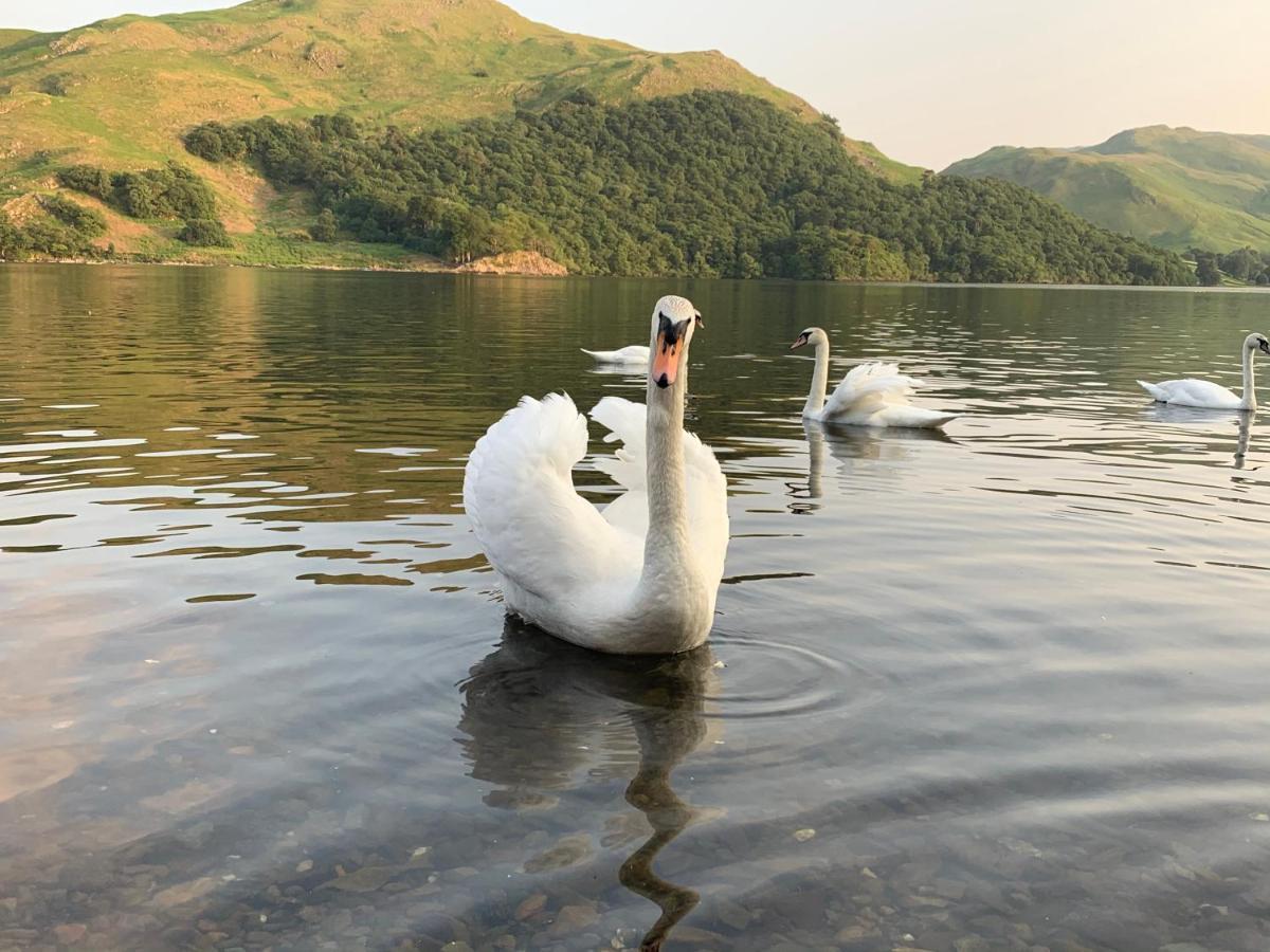 The Ullswater View Maison d'hôtes Watermillock